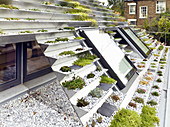 Terraced green roof