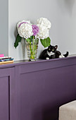 Vase of hydrangeas and cat on ledge of purple wainscoting