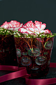 Carnation flowers with laurel viburnum buds in small jars