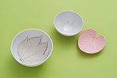 Leaf-shaped dishes made from modelling clay
