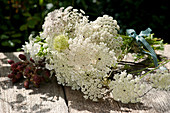 Bouquet of Queen Anne's lace, phlox and unripe blackberries