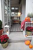Autumn arrangement of chrysanthemums, pumpkins and lantern