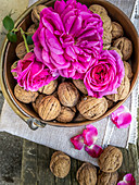 Flowers of rose 'Young Lycidas' in bowl of walnuts
