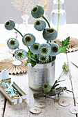 Bouquet of fresh poppy seed heads in tin can and paper decorations
