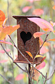 Rusty bird feeder with a heart opening