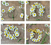 Tying a little wreath of chamomile flowers