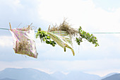 Hay in cloth bags and herbs on a clothesline