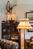 Standard lamp in front of stuffed bird above display cabinet