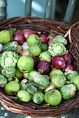 Harvest in a basket: green apples, red onions and Brussels sprouts