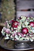 Rote Zwiebeln und Hortensienblüten auf Zinn-Schale