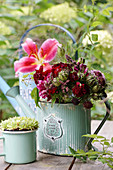 Bouquet of snapdragons, Love-in-a-mist, and Knautia in a tin watering can