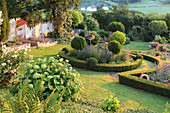 View of the hillside garden with hydrangea 'Annabelle' and flower beds with box hedges