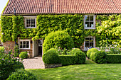 English country house with garden and climber-covered façade