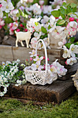 Basket with apple blossoms and white forget-me-nots