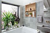 Pflanzen am Fenster über dem Badewanne im modernen Bad in Grau