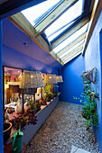 Narrow patio with blue walls and skylight windows