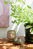 Decorative objects next to a green plant