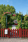 Roter Holzzaun und Rosenbogen in sonnigem Garten