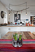 Hyacinth bulbs in glass jar on dining table, kitchen in background
