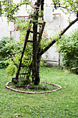 Baum mit Papierlaternen im Garten, angelehnte Leiter