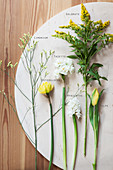 Flowers for spring floristry: tulips, daffodils, hyacinths, goldenrod, and sea lavender