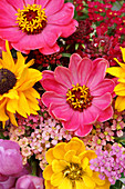 Coneflower, zinnia, yarrow, and widow's flower in a summer bouquet
