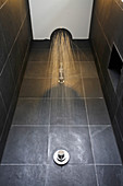 Shower in bathroom with black tiles
