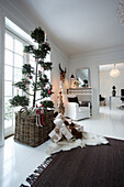 Geschmückter Baum im Korb und Weihnachtsgeschenke im Wohnzimmer mit weißem Holzboden