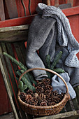 Basket of fir cones and branches, cardigan and scarf
