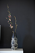 Vase mit Blütenzweig vor schwarzer Wand