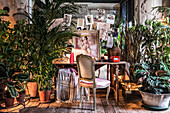 Postkarten und Kunstwerke über Schreibtisch und Stuhl im Zimmer mit Pflanzen und theatralischem Effekt