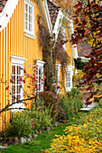 Houses with yellow painted wood paneling and autumnal front garden