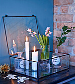 Apothecary bottles, candles and hyacinth in glass case