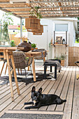 Dog lying on wooden terrace with a pergola