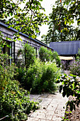 Gehwegplatten in sommerlichem Garten mit Gartenhaus aus Holz