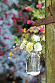Mini bouquet of Calibrachoa and primrose blossom in a small bottle