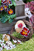 Easter Egg with Lace Ribbon and Primrose Flower in Easter Nest