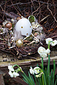 Easter nest made of birch twigs with Easter eggs, flower bulbs, and feathers