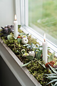 Plant arrangement with candles on windowsill