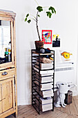 Narrow shelf, decorative elements and plant in a bright room