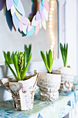 Easter hyacinth bulbs in pots decorated with vintage music paper.