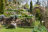 Terrassenartig angelegte Beete mit Narzissen und Rankbogen im Garten