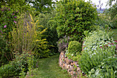 Lush garden with dry stone wall and grassy path