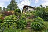 Summery garden in front of the house on a hillside