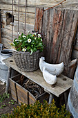 Wicker basket planted with daisies and decorative chickens as Easter decorations on wooden bench
