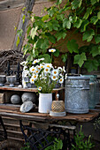 Strauß aus Frühlingsmargeriten auf DIY-Arbeitstisch aus alter Holztür und Nähmaschinentisch