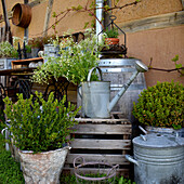 Zinc pots with boxwood and bouquet of wild carrot in zinc watering can