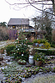 Ländliche Weihnachtsdeko im Garten mit geschmückter Fichte als Weihnachtsbaum