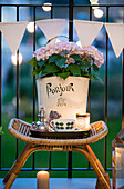 Rattan side table with tray and potted hydrangea on balcony