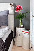 Amaryllis in a glass vase on a rustic tree-trunk bedside table